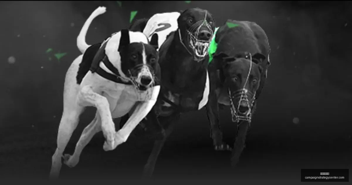 利物浦转会,战局,左路引援或,星空体育下载官网,星空体育App,星空体育直播,星空体育娱乐,星空体育平台